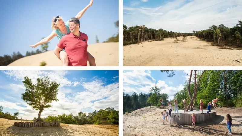Landduinen en heide in natuurgebied In den Brand