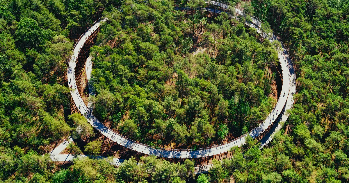 Luchtfoto van de fietsbrug Fietsen door de Bomen in Bosland