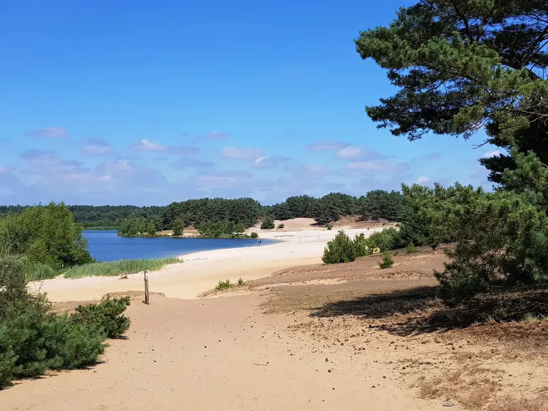 Zandvlakte en meer van de Lommelse Sahara